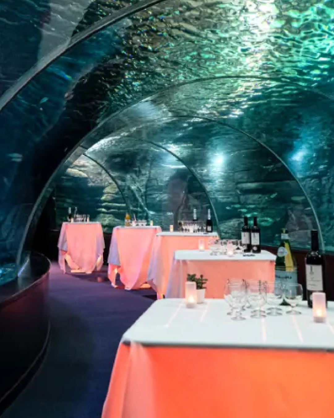 tunnel nausicaa table