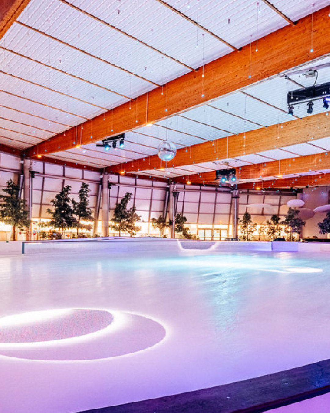 hélicéa patinoire-100